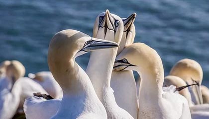 开云体育app-【体坛篮球秀】展望新赛季！静易墨高喊“湖人总冠军”